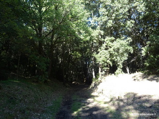 sco di Centorbi-18-10-2020 10